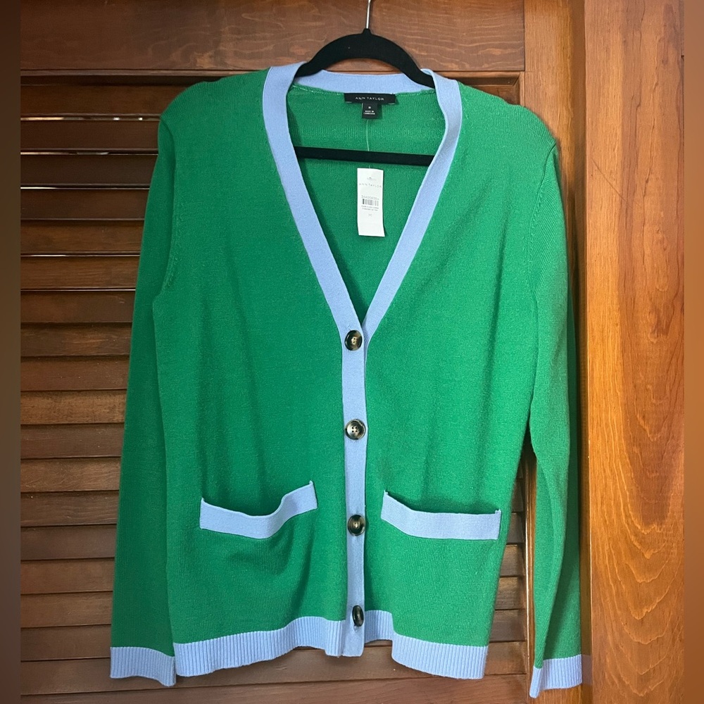 Ann Taylor Green and Blue Crewneck Sweater